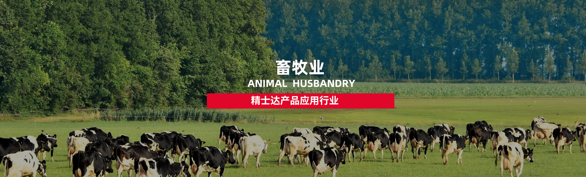 精士達(dá)產(chǎn)品應(yīng)用行業(yè)-畜牧業(yè)